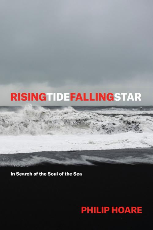 Cover of the book RISINGTIDEFALLINGSTAR by Philip Hoare, University of Chicago Press
