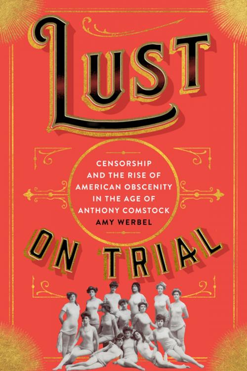 Cover of the book Lust on Trial by Amy Werbel, Columbia University Press