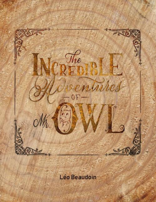 Cover of the book The Incredible Adventures of Mr Owl by Léo Beaudoin, Lulu.com
