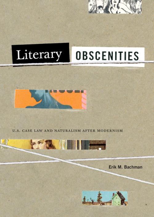 Cover of the book Literary Obscenities by Erik M. Bachman, Penn State University Press