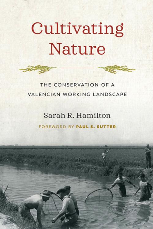 Cover of the book Cultivating Nature by Sarah R. Hamilton, University of Washington Press