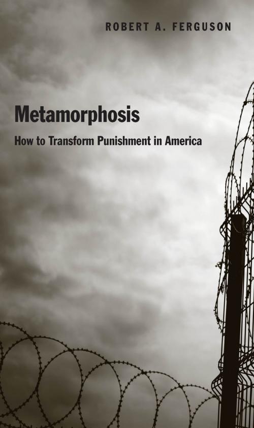 Cover of the book Metamorphosis by Robert A Ferguson, Yale University Press
