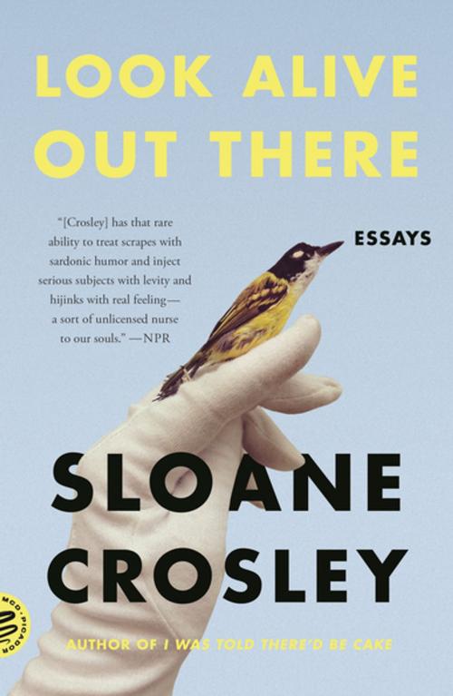 Cover of the book Look Alive Out There by Sloane Crosley, Farrar, Straus and Giroux