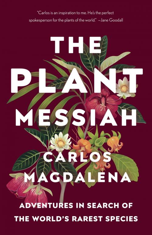 Cover of the book The Plant Messiah by Carlos Magdalena, Knopf Doubleday Publishing Group