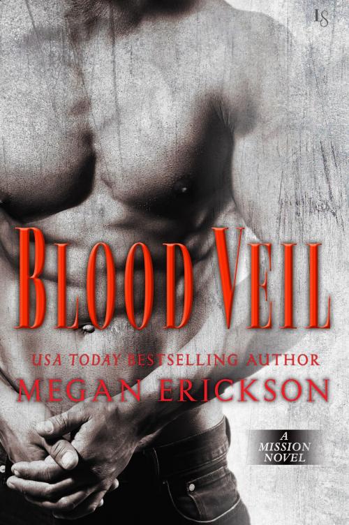 Cover of the book Blood Veil by Megan Erickson, Random House Publishing Group