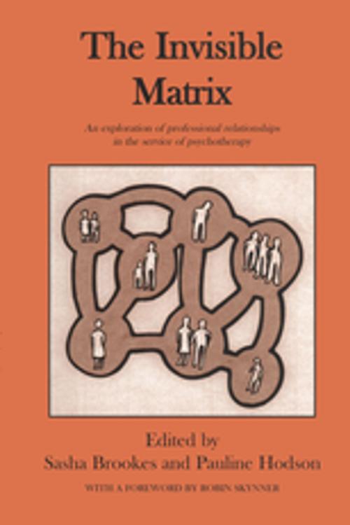 Cover of the book The Invisible Matrix by Sasha Brookes, Taylor and Francis