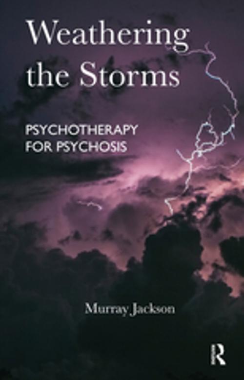 Cover of the book Weathering the Storms by Murray Jackson, Taylor and Francis