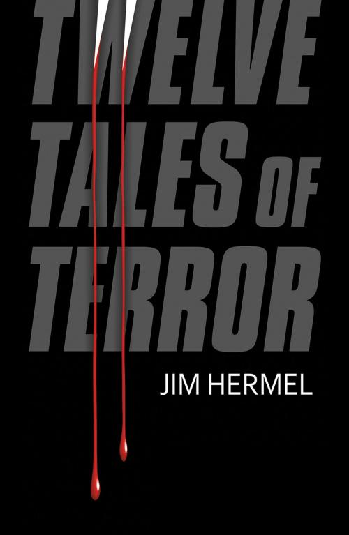Cover of the book Twelve Tales of Terror by Jim Hermel, Austin Macauley