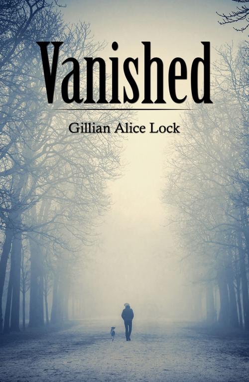 Cover of the book Vanished by Gillian Alice Lock, Austin Macauley