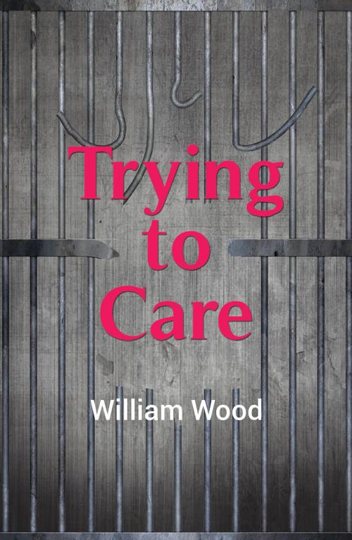 Cover of the book Trying to Care by William Wood, Austin Macauley