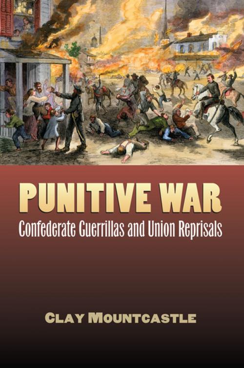 Cover of the book Punitive War by Clay Mountcastle, University Press of Kansas
