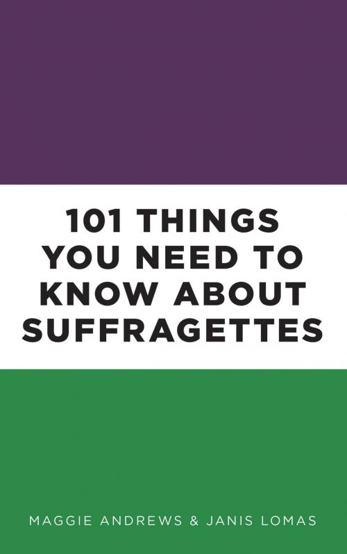 Cover of the book 101 Things You Need to Know About Suffragettes by Maggie Andrews, Janis Lomas, The History Press