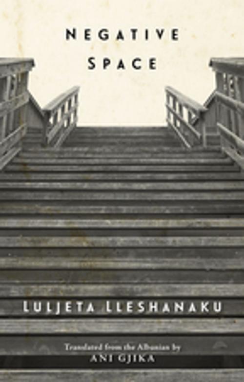 Cover of the book Negative Space by Luljeta Lleshanaku, New Directions
