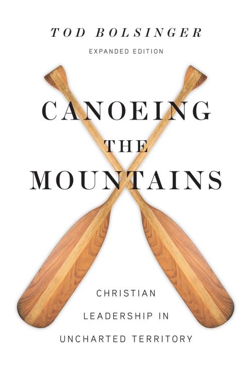 Cover of the book Canoeing the Mountains by Tod Bolsinger, IVP Books