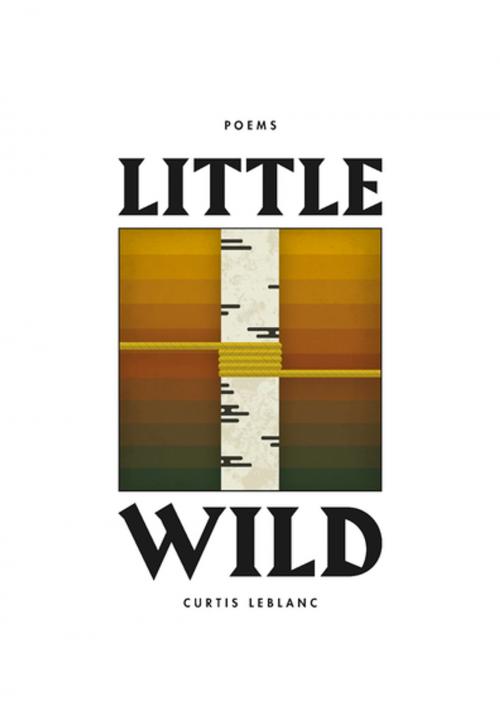 Cover of the book Little Wild by Curtis LeBlanc, Harbour Publishing Co. Ltd.