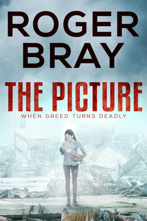 Cover of the book The Picture by Roger Bray, Undertow