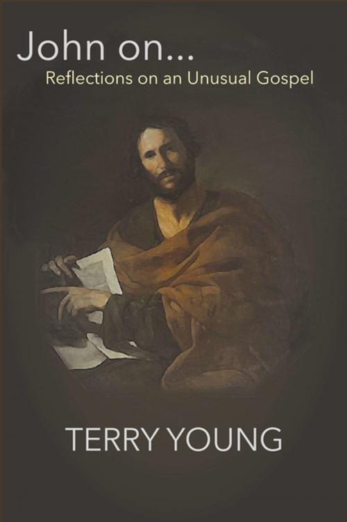 Cover of the book John On… by Terry Young, Words by Design