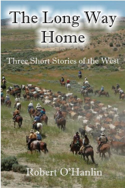 Cover of the book The Long Way Home by Robert O' Hanlin, Robert O' Hanlin