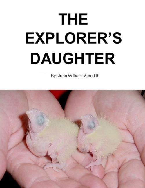 Cover of the book The Explorer's Daughter by John William Meredith, Lulu.com