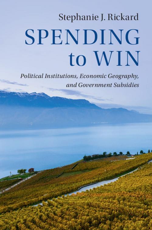 Cover of the book Spending to Win by Stephanie J. Rickard, Cambridge University Press