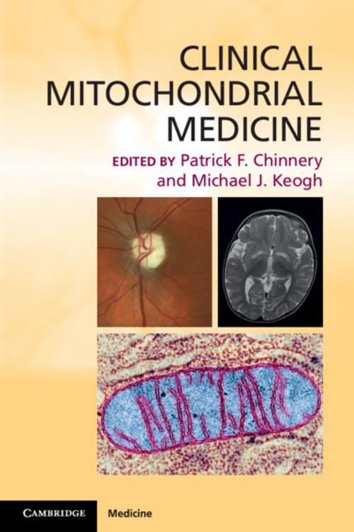 Cover of the book Clinical Mitochondrial Medicine by , Cambridge University Press