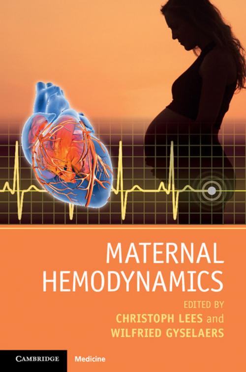 Cover of the book Maternal Hemodynamics by , Cambridge University Press