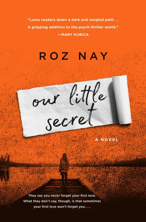 Cover of the book Our Little Secret by Roz Nay, St. Martin's Press
