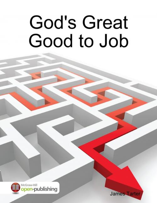 Cover of the book God's Great Good to Job by James Tarter, Lulu.com
