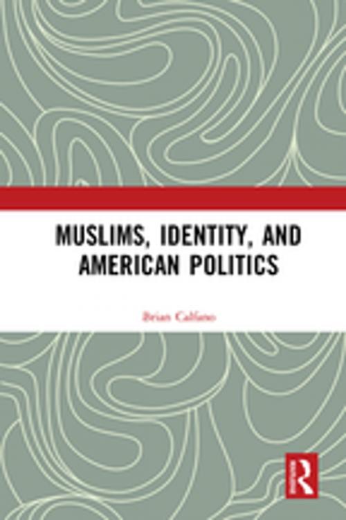 Cover of the book Muslims, Identity, and American Politics by Brian Calfano, Taylor and Francis