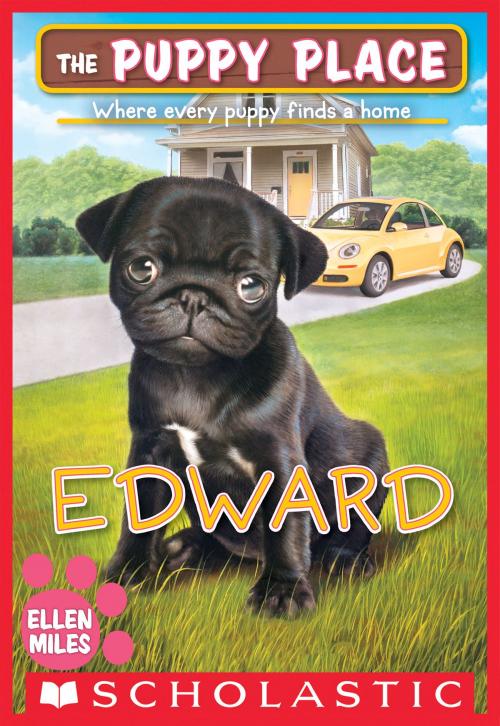 Cover of the book Edward (The Puppy Place #49) by Ellen Miles, Scholastic Inc.