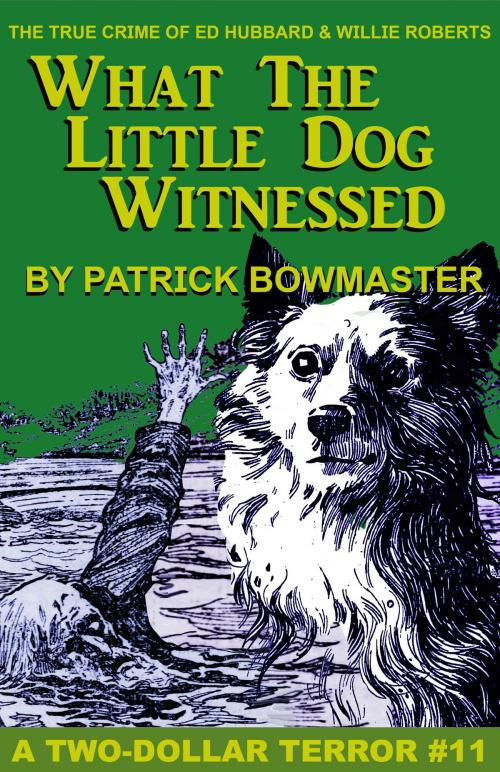 Cover of the book What The Little Dog Witnessed: The True Crime Of Ed Hubbard & Willie Roberts by Patrick Bowmaster, Richard O Jones