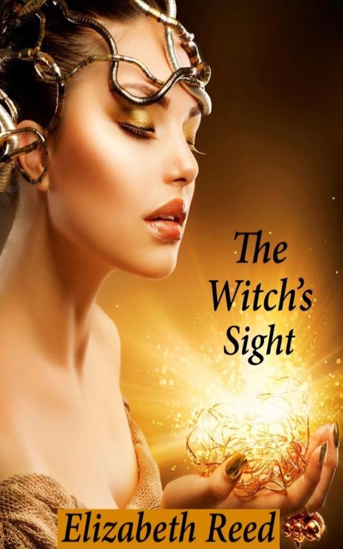 Cover of the book The Witch’s Sight by Elizabeth Reed, Elizabeth Reed