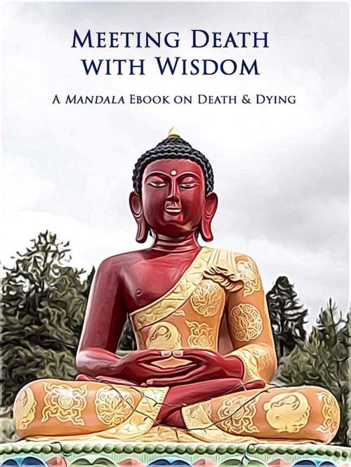Cover of the book Meeting Death with Wisdom eBook by FPMT, FPMT