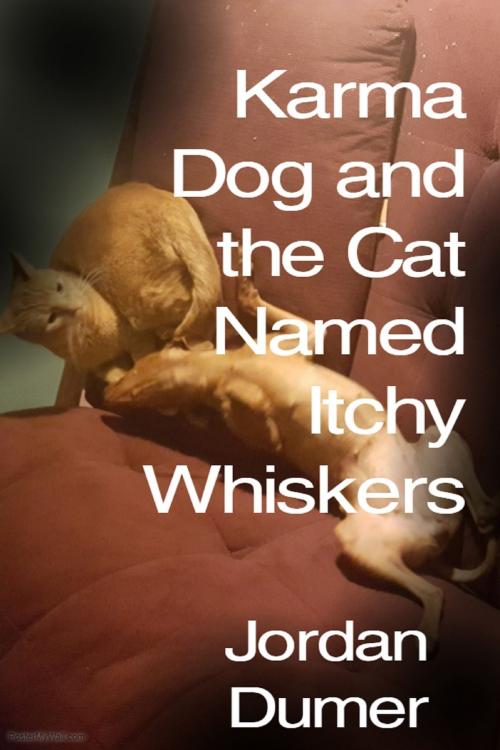 Cover of the book Karma Dog and the Cat Named Itchy Whiskers by Jordan Dumer, Jordan Dumer