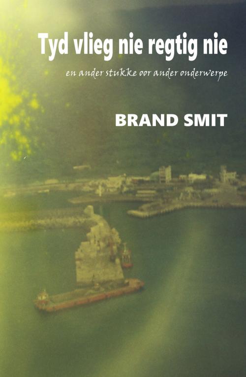 Cover of the book Tyd Vlieg Nie Regtig Nie by Brand Smit, Brand Smit