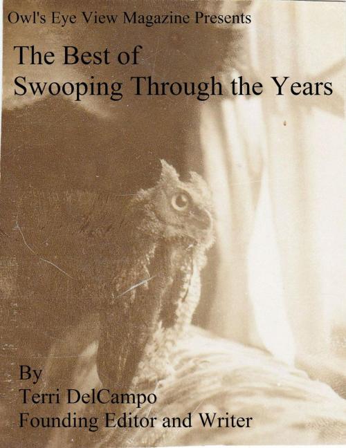 Cover of the book Owl's Eye View Magazine Presents The Best of Swooping Through the Years by Terri DelCampo, Blazing Owl Press