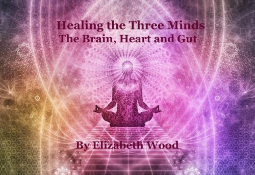Cover of the book Healing the Three Minds - The Brain, Heart and Gut by Elizabeth Wood, Elizabeth Wood