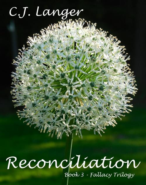 Cover of the book Reconciliation by C.J. Langer, C.J. Langer