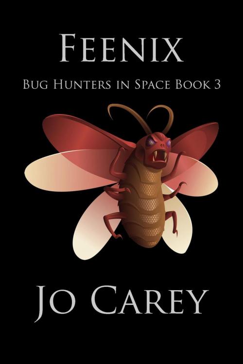 Cover of the book Feenix by Jo Carey, Jo Carey