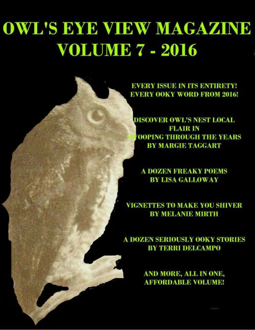Cover of the book Owl's Eye View Magazine - Volume 7 - 2016 - Year End Bundle by Terri DelCampo, Blazing Owl Press