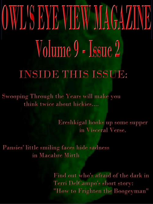 Cover of the book Owl's Eye View Magazine - Volume 9 - Issue 2 by Terri DelCampo, Blazing Owl Press