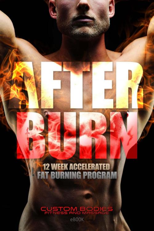 Cover of the book AfterBurn by patricia hildebrandt, H-3 Legacy Publications