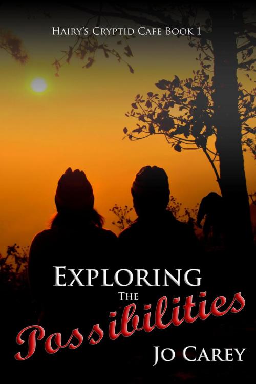 Cover of the book Exploring the Possibilities by Jo Carey, Jo Carey