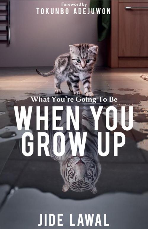 Cover of the book What You're Going to Be When You Grow Up by Jide Lawal, InnerSeede Media