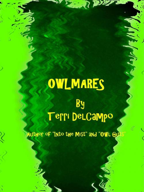 Cover of the book OwlMares by Terri DelCampo, Blazing Owl Press