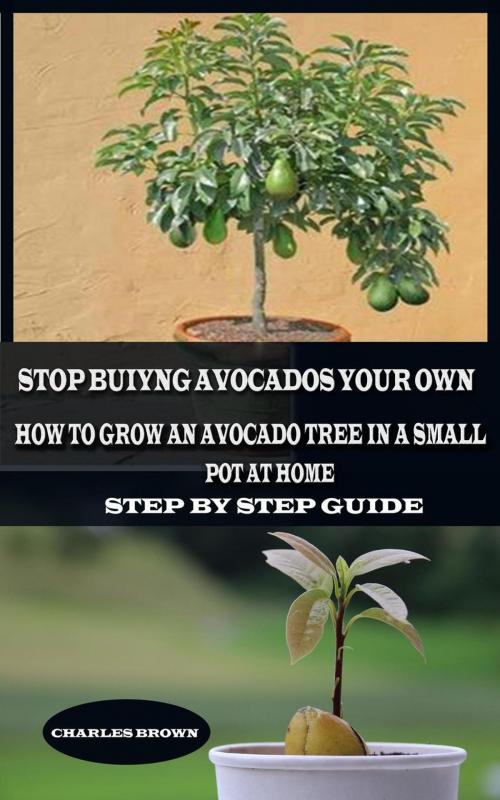 Cover of the book Stop Buying Avocados Grow Your Own: How to Grow an Avocados Tree in a Small Pot at Home by Charles Brown, Kerry Robbinson