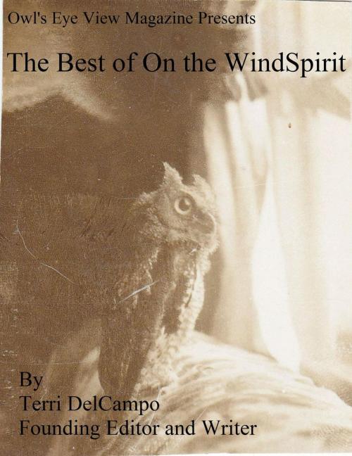 Cover of the book Owl's Eye View Magazine Presents The Best of On the WindSpirit by Terri DelCampo, Lucy WindSpirit Bernelli, Blazing Owl Press