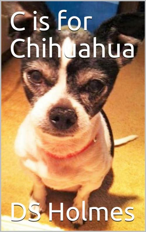 Cover of the book C is for Chihuahua by DS Holmes, DS Holmes