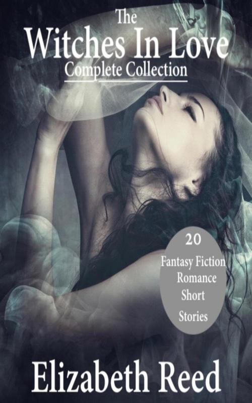 Cover of the book The Witches In Love Complete Collection - 20 Fantasy Fiction Romance Short Stories by Elizabeth Reed, LB Books
