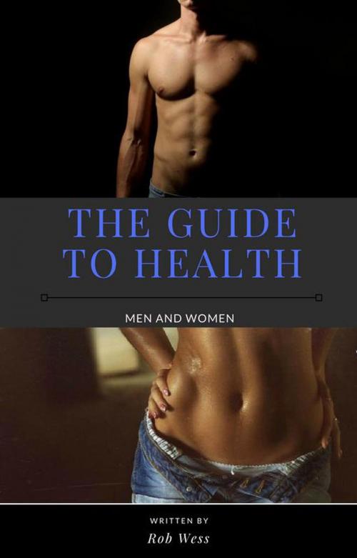 Cover of the book The guide to health by Rob Wess, Stint Pint